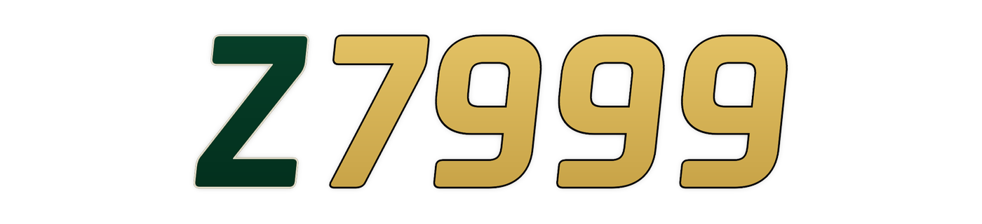 z7999